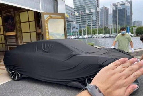 吉利概念車亮相街頭,買買黨要等等嗎