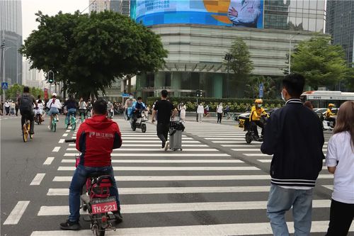 人大代表 完善交通護(hù)欄設(shè)施,保障市民安全出行