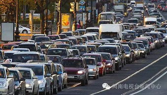 這樣出行省得堵心 快收藏喲