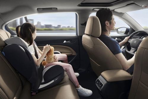 鋼筋鐵骨，安心出行——東風(fēng)標(biāo)致408的守護(hù)之道