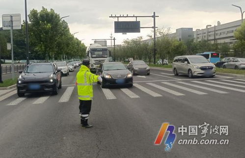 景區(qū)交通出行高峰 公共交通是首選